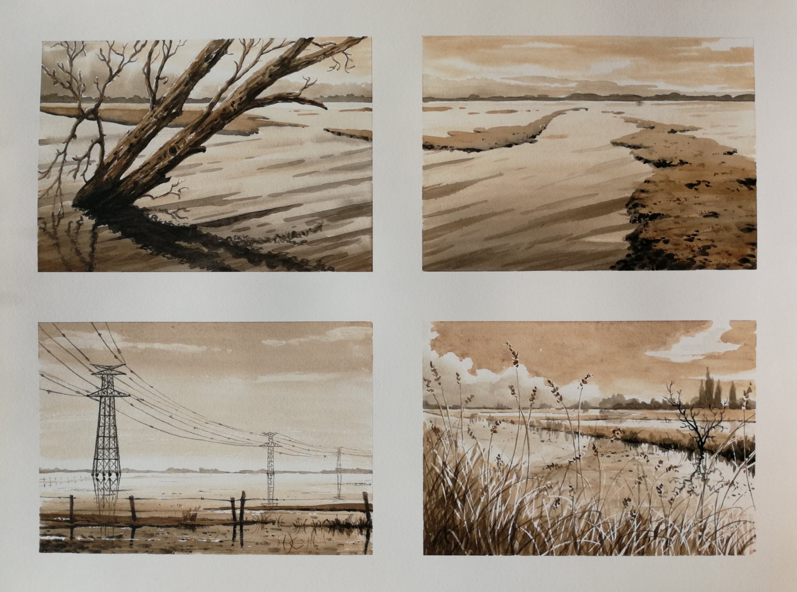 La Brière - Aquarelle sur papier, 2024 par JanMar